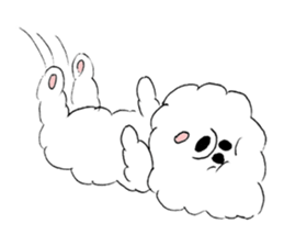 Bichon Frise pero sticker #2937552