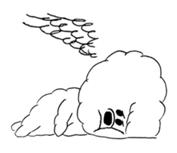 Bichon Frise pero sticker #2937553