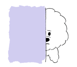Bichon Frise pero sticker #2937557