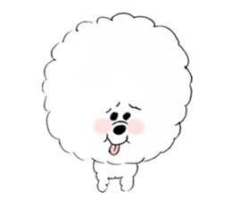 Bichon Frise pero sticker #2937559
