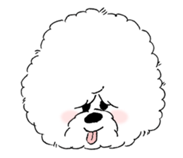 Bichon Frise pero sticker #2937560