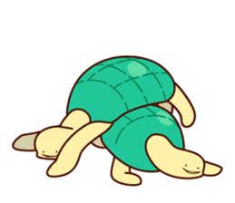 Smiling turtle sticker #2938953