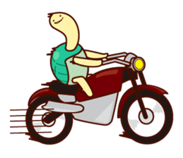 Smiling turtle sticker #2938957