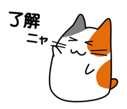 The cat which answers sticker #2939046