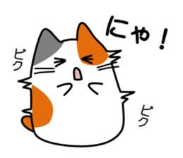 The cat which answers sticker #2939057