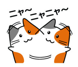 The cat which answers sticker #2939059