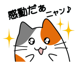 The cat which answers sticker #2939066