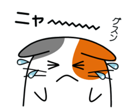 The cat which answers sticker #2939067