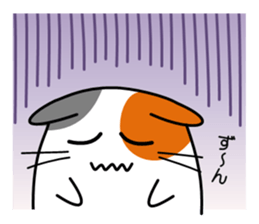 The cat which answers sticker #2939072