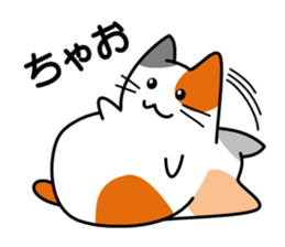 The cat which answers sticker #2939075