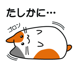 The cat which answers sticker #2939077