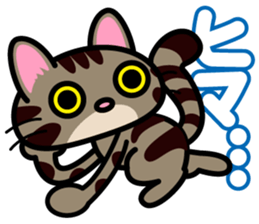 Communication cats sticker #2941251