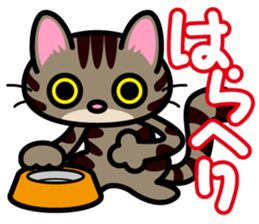 Communication cats sticker #2941257