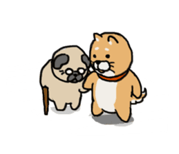 Proper Use Event (Shiba&Pug) sticker #2943588