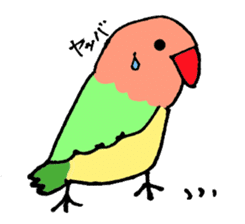 A playful parrot sticker #2943739