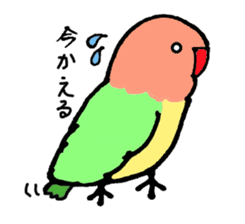 A playful parrot sticker #2943751