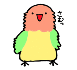 A playful parrot sticker #2943757