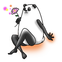 beautiful legs panda