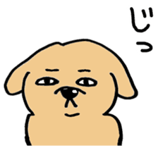 My dog Sticker sticker #2944665