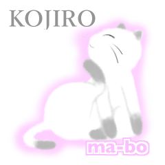 Siamese named KOJIRO