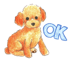 The pretty toy poodle sticker #2947651