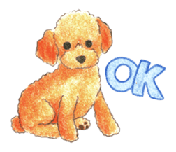 The pretty toy poodle sticker #2947651