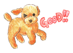 The pretty toy poodle sticker #2947653