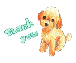 The pretty toy poodle sticker #2947654