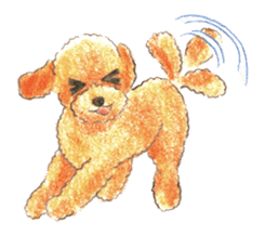 The pretty toy poodle sticker #2947659