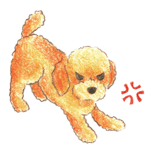 The pretty toy poodle sticker #2947660