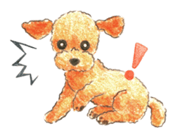 The pretty toy poodle sticker #2947662