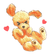 The pretty toy poodle sticker #2947663