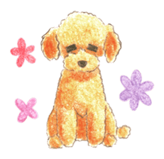 The pretty toy poodle sticker #2947664