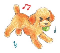 The pretty toy poodle sticker #2947666