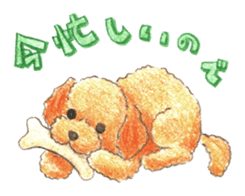 The pretty toy poodle sticker #2947668