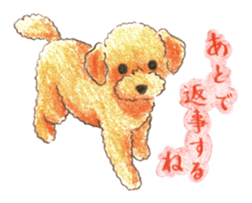 The pretty toy poodle sticker #2947669