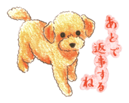 The pretty toy poodle sticker #2947669