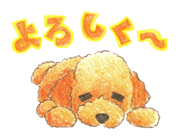 The pretty toy poodle sticker #2947670