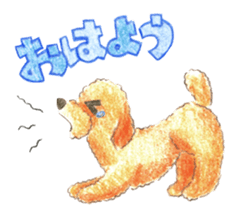 The pretty toy poodle sticker #2947671