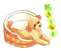 The pretty toy poodle sticker #2947672