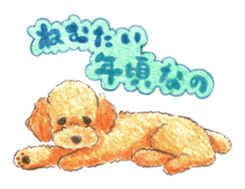 The pretty toy poodle sticker #2947673
