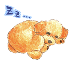 The pretty toy poodle sticker #2947674