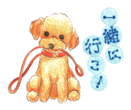 The pretty toy poodle sticker #2947676