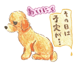 The pretty toy poodle sticker #2947677