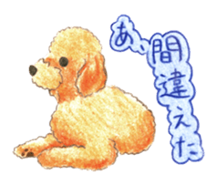 The pretty toy poodle sticker #2947679