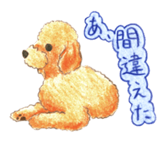 The pretty toy poodle sticker #2947679