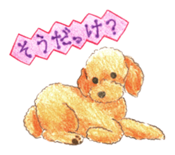 The pretty toy poodle sticker #2947680