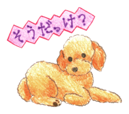 The pretty toy poodle sticker #2947680
