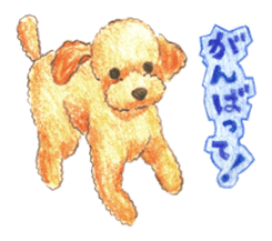 The pretty toy poodle sticker #2947682