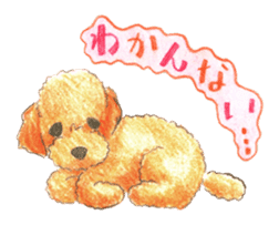The pretty toy poodle sticker #2947683
